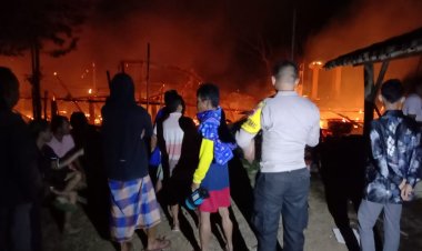 Kandang Ayam 2 Lantai Berisi 15.000 Ayam di Doro Pekalongan Terbakar