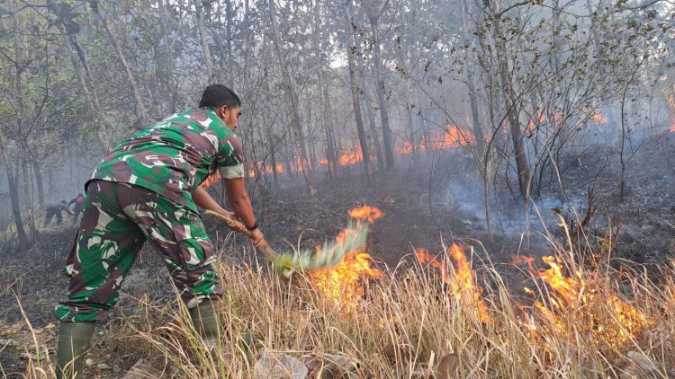 Kisah Heroik: Babinsa Ngepeh Sertu Mugianto Selamatkan Lingkungan dari Kebakaran Hutan