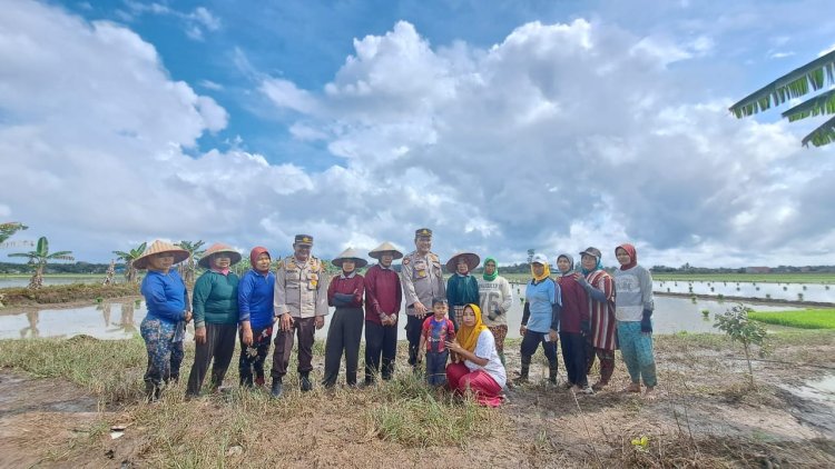 “Ngopimas”, Polsek Bungaraya ajak Masayarakat Ciptakan Pemilu Aman, Damai dan Berintegritas sambil Bantu Petani Bajak Sawah