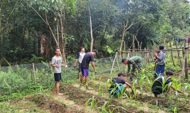 Satgas Pamtas Yonzipur 5/ABW Dukung Ketahanan Pangan dengan Memanfaatkan Lahan Pekarangan di Sintang