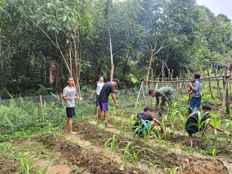 Satgas Pamtas Yonzipur 5/ABW Dukung Ketahanan Pangan dengan Memanfaatkan Lahan Pekarangan di Sintang