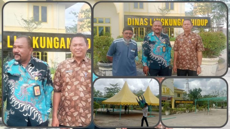 12 Sapi Disiapkan DLH Rohil Sambut Idul Adha