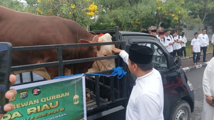 Distribusi Hewan Kurban Kapolda Riau 2025