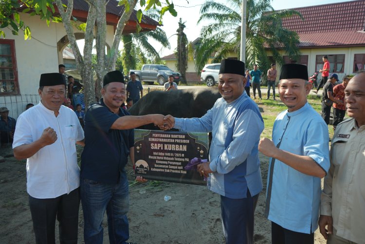 Wabup Siak Serahkan Sapi Qurban Bantuan Presiden untuk Warga Tanjung Pal