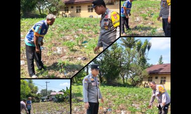 Polsek Kulim Bina Petani Singkong Dukung Ketahanan Pangan