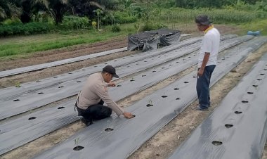 Tingkatkan Ketahanan Pangan,  Bhabinkamtibmas Aipda Wempi Kamri Sambangi Lahan Bergizi Warga Binaan