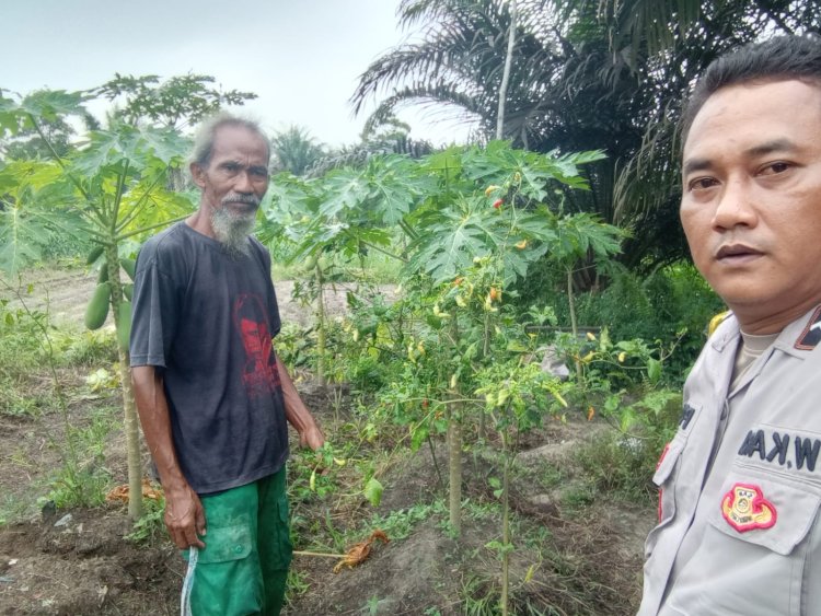 Manfaatkan Lahan Pekarangan Menjadi Produktif, Bhabinkamtibmas Polsek Pangkalan Kerinci Sambangi Warga Guna Dukung Ketahanan Pangan